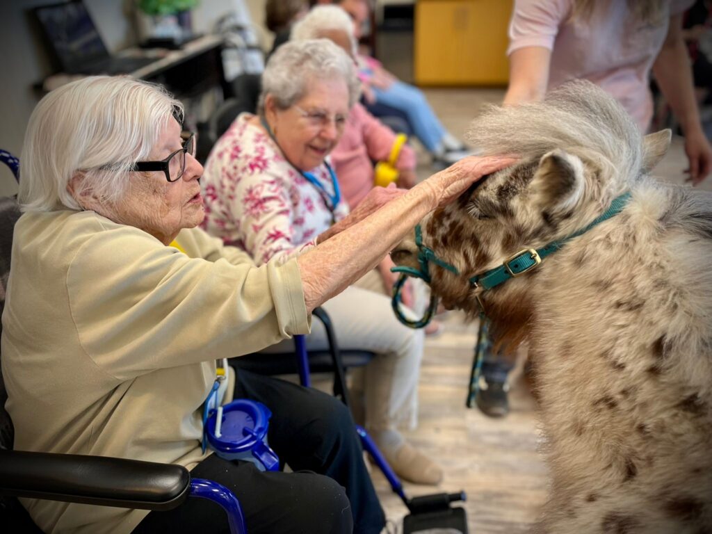 Daycation for Seniors™ Featured in Sacramento Favorites: Redefining Senior Care